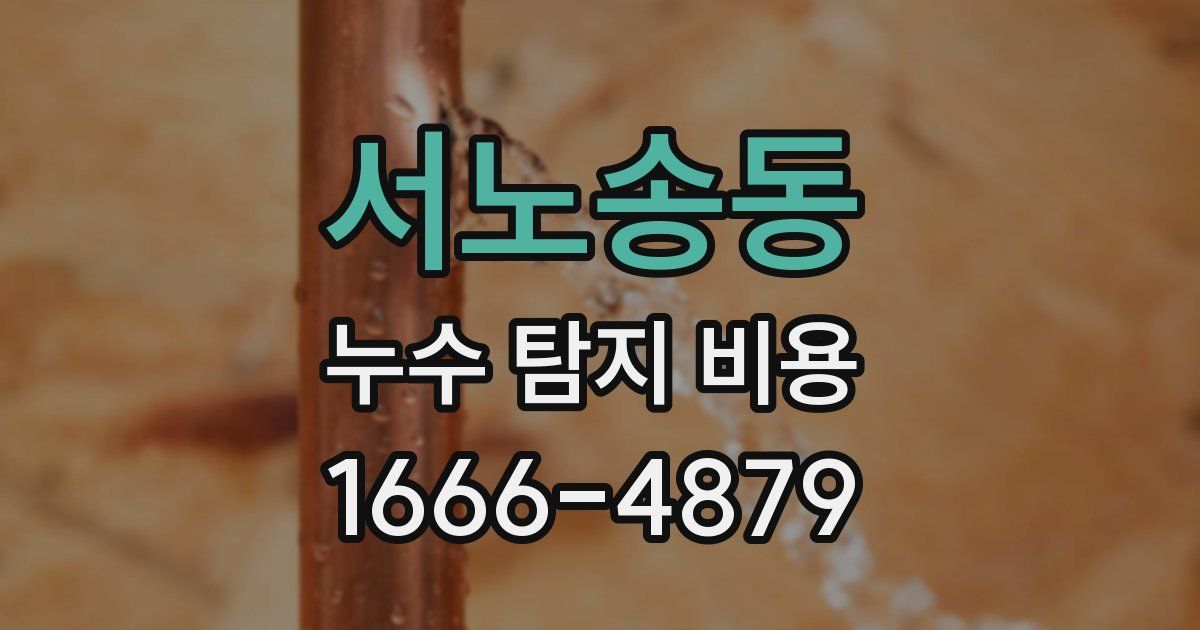 서노송동 누수 탐지 비용