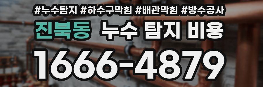 진북동 누수 탐지 비용