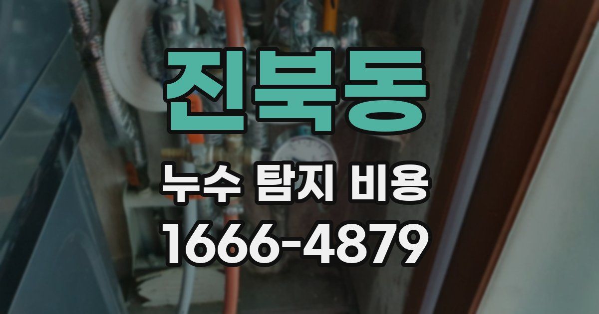 진북동 누수 탐지 비용