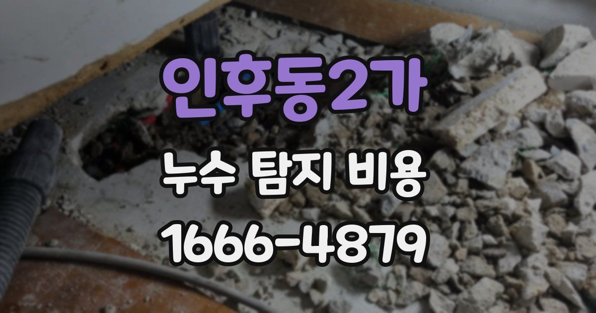 인후동2가 누수 탐지 비용