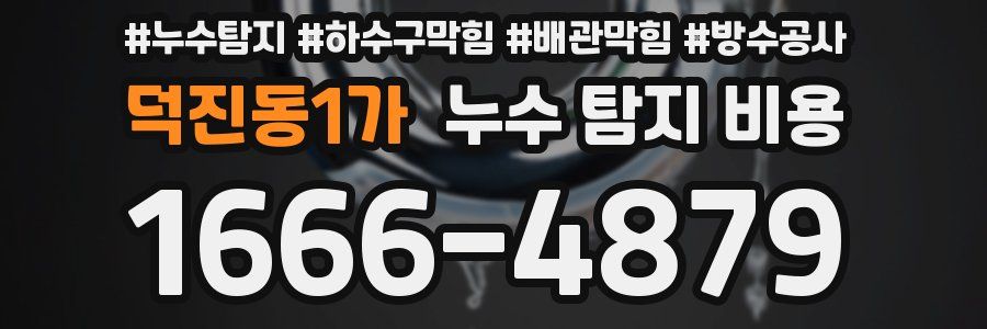 덕진동1가 누수 탐지 비용