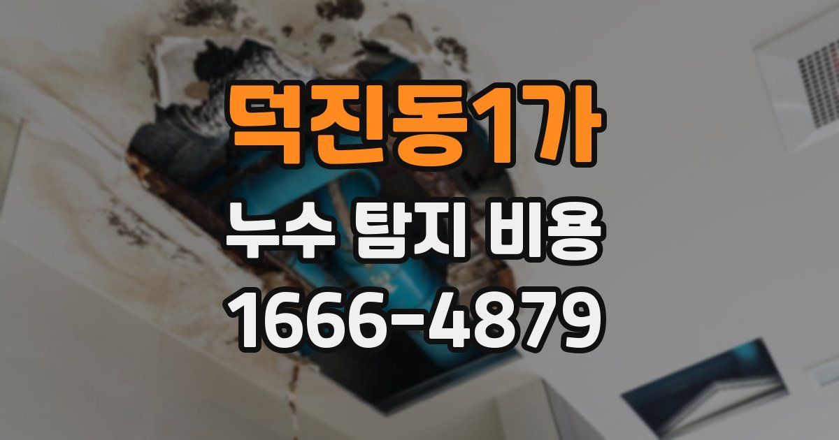 덕진동1가 누수 탐지 비용
