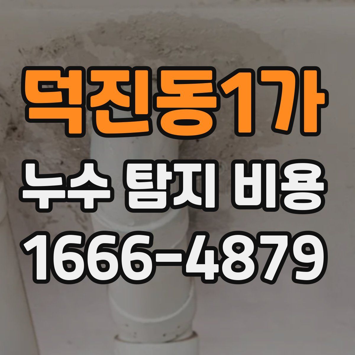덕진동1가 누수 탐지 비용
