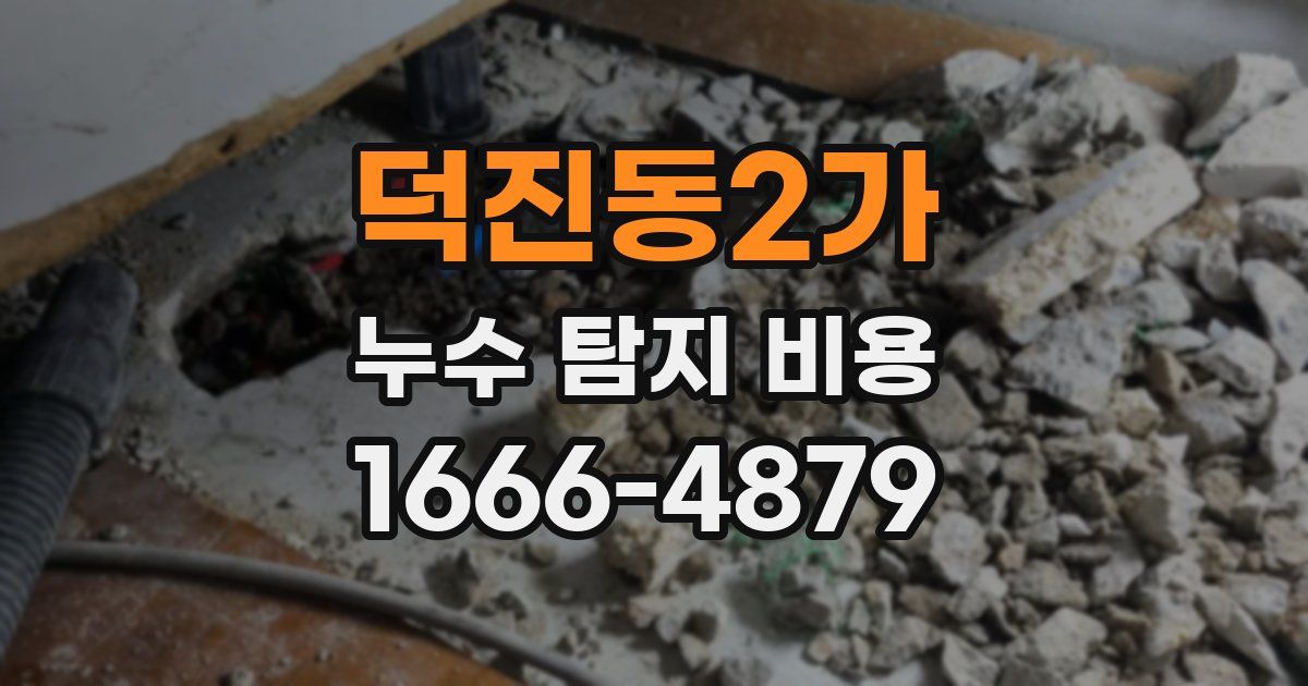 덕진동2가 누수 탐지 비용