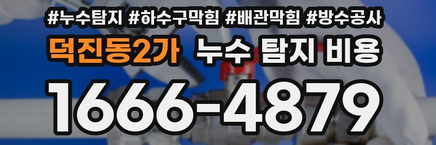 덕진동2가 누수 탐지 비용
