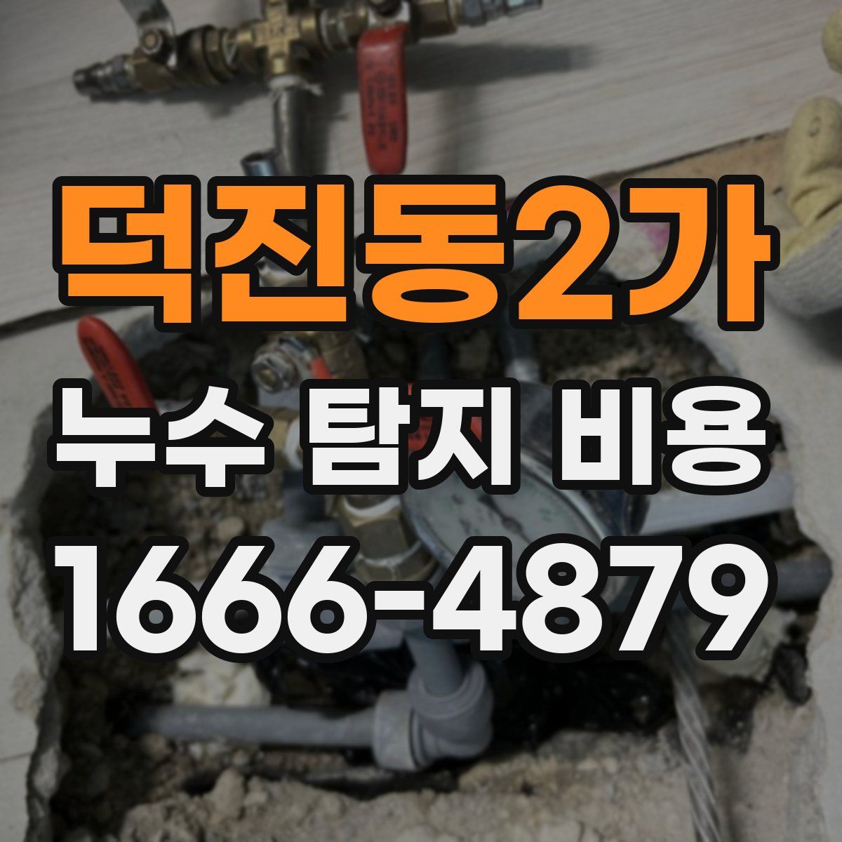 덕진동2가 누수 탐지 비용