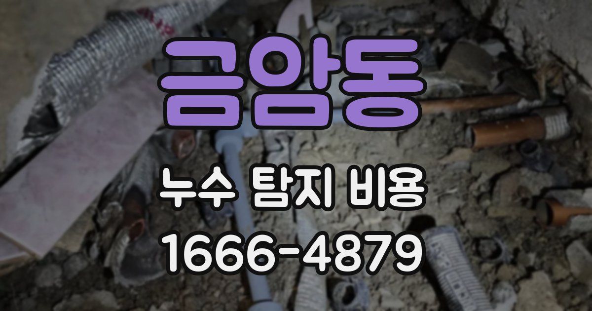 금암동 누수 탐지 비용