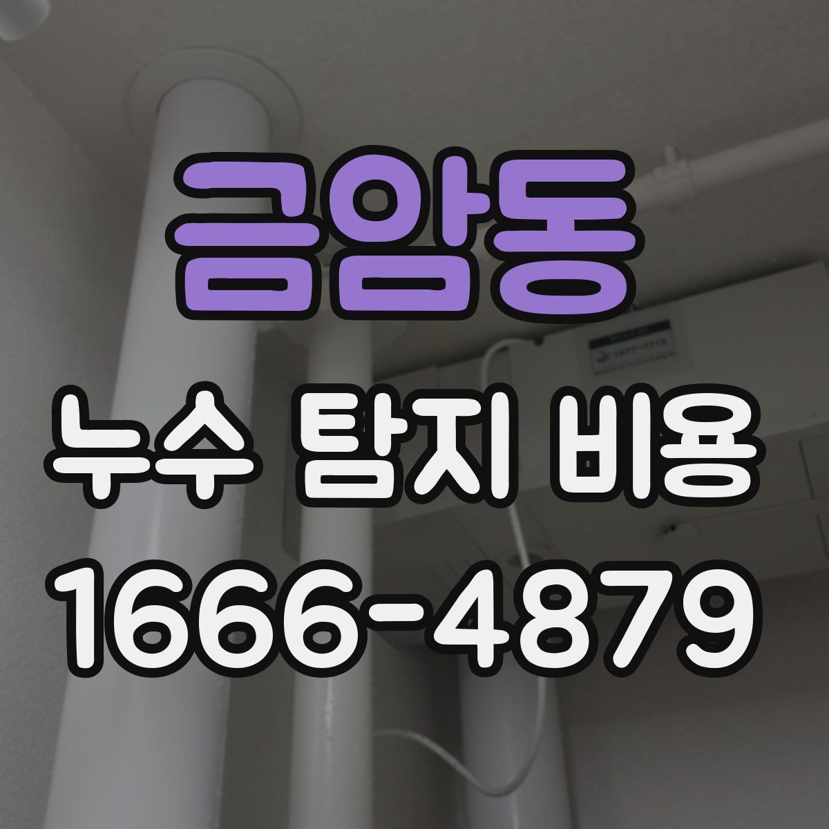 금암동 누수 탐지 비용