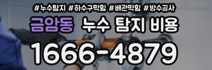 금암동 누수 탐지 비용