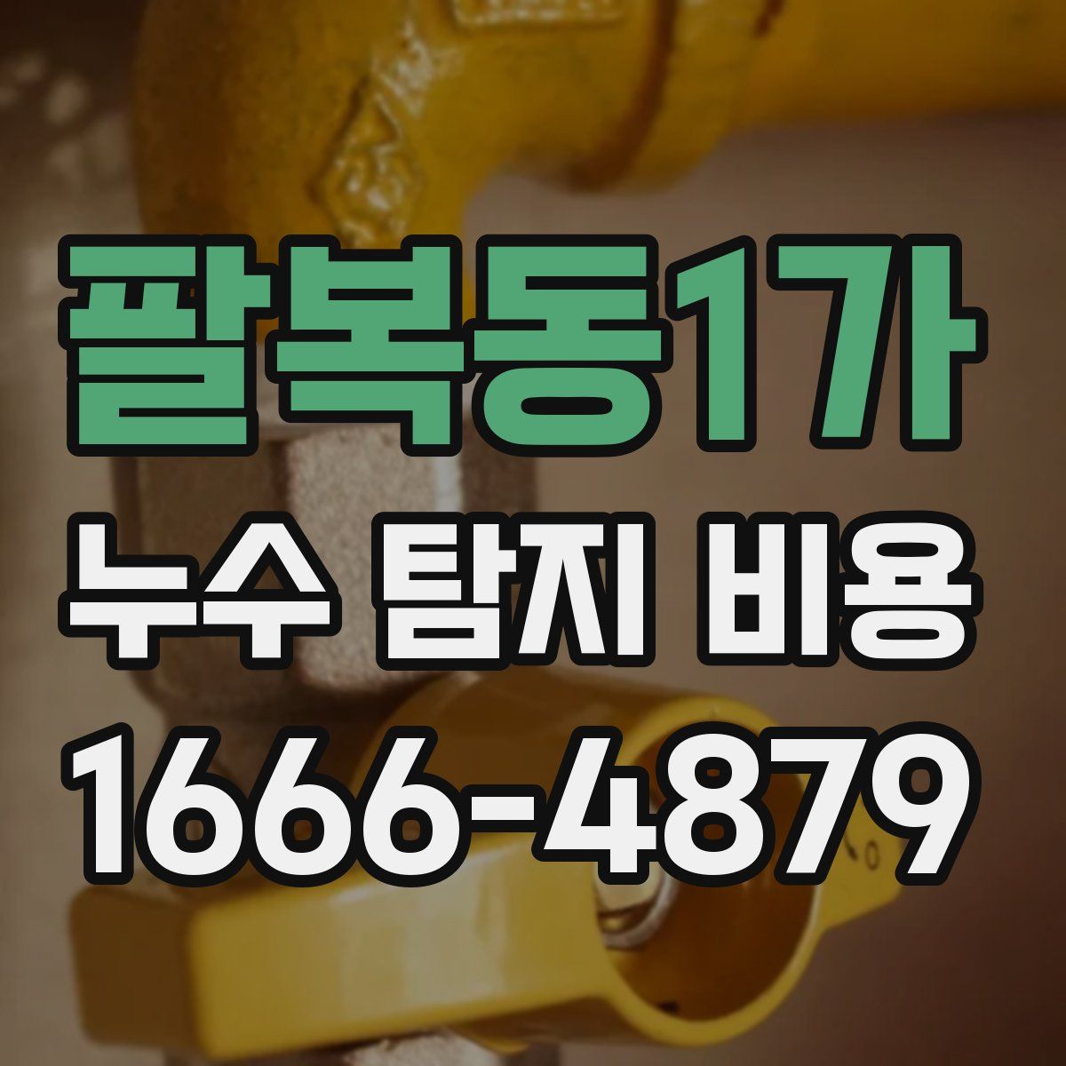 팔복동1가 누수 탐지 비용