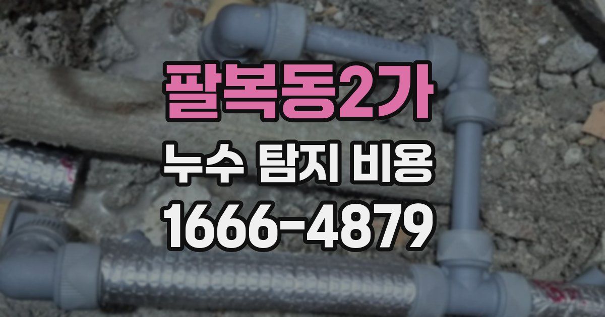 팔복동2가 누수 탐지 비용