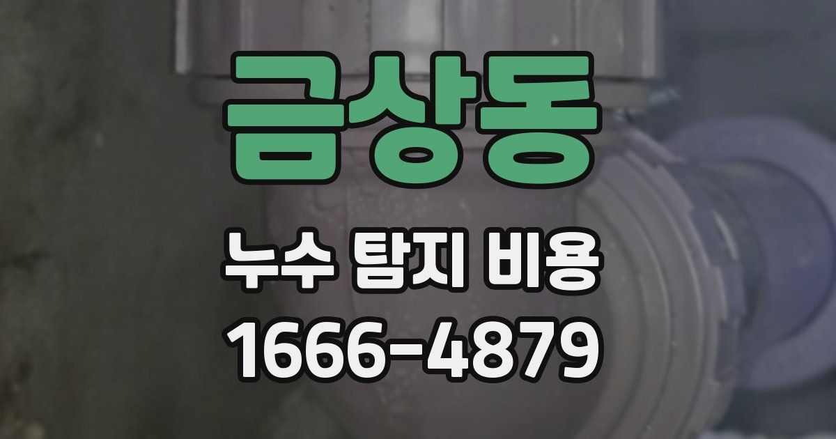 금상동 누수 탐지 비용