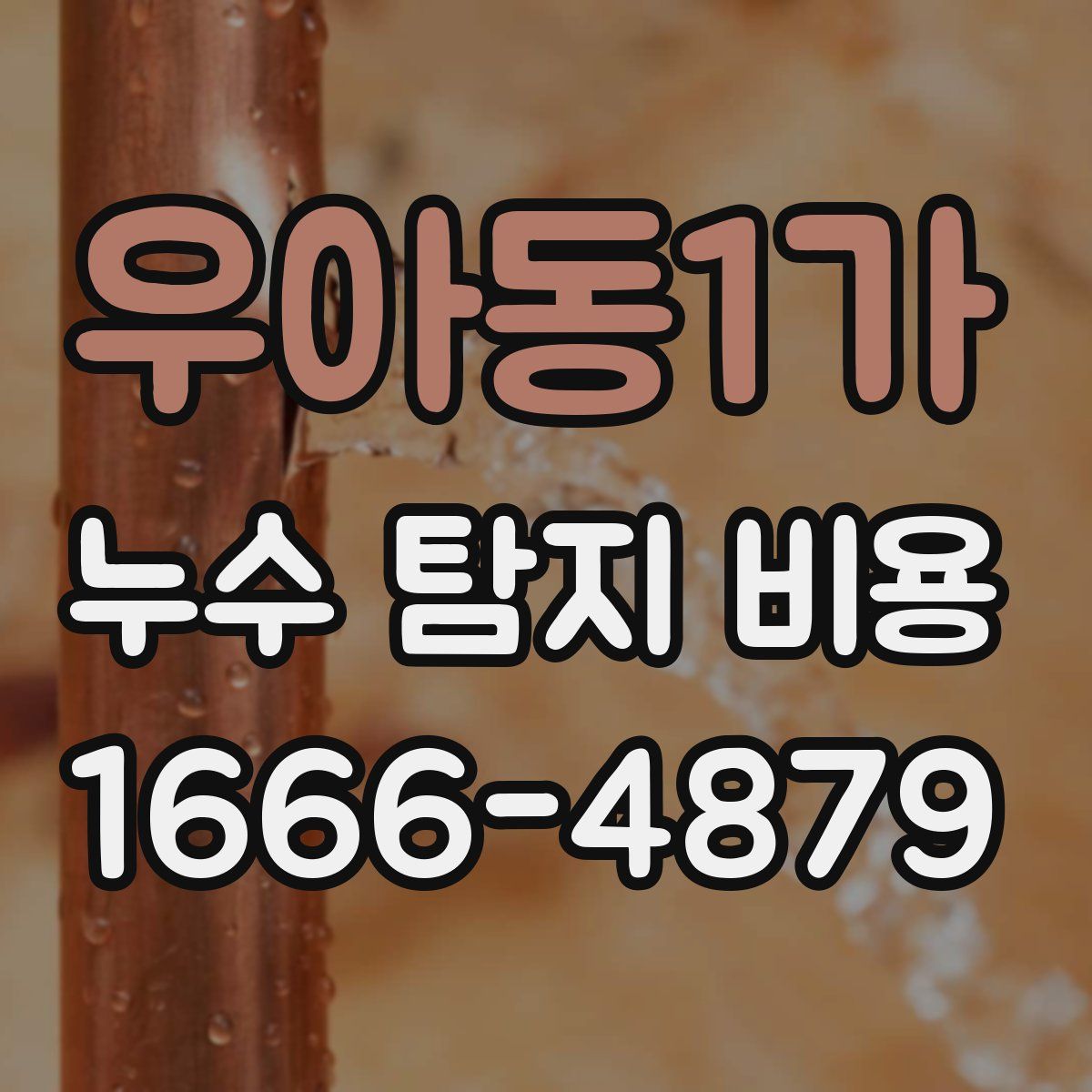 우아동1가 누수 탐지 비용