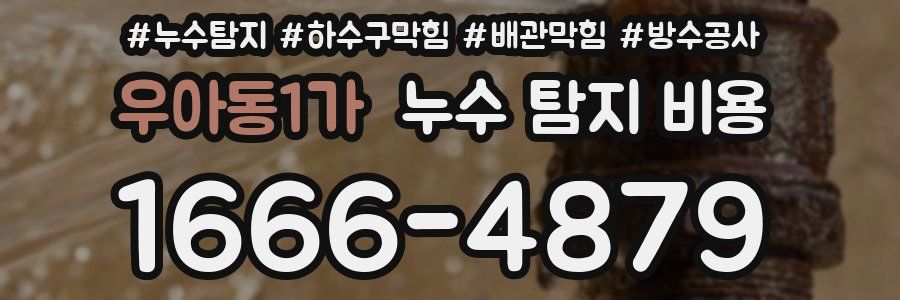 우아동1가 누수 탐지 비용
