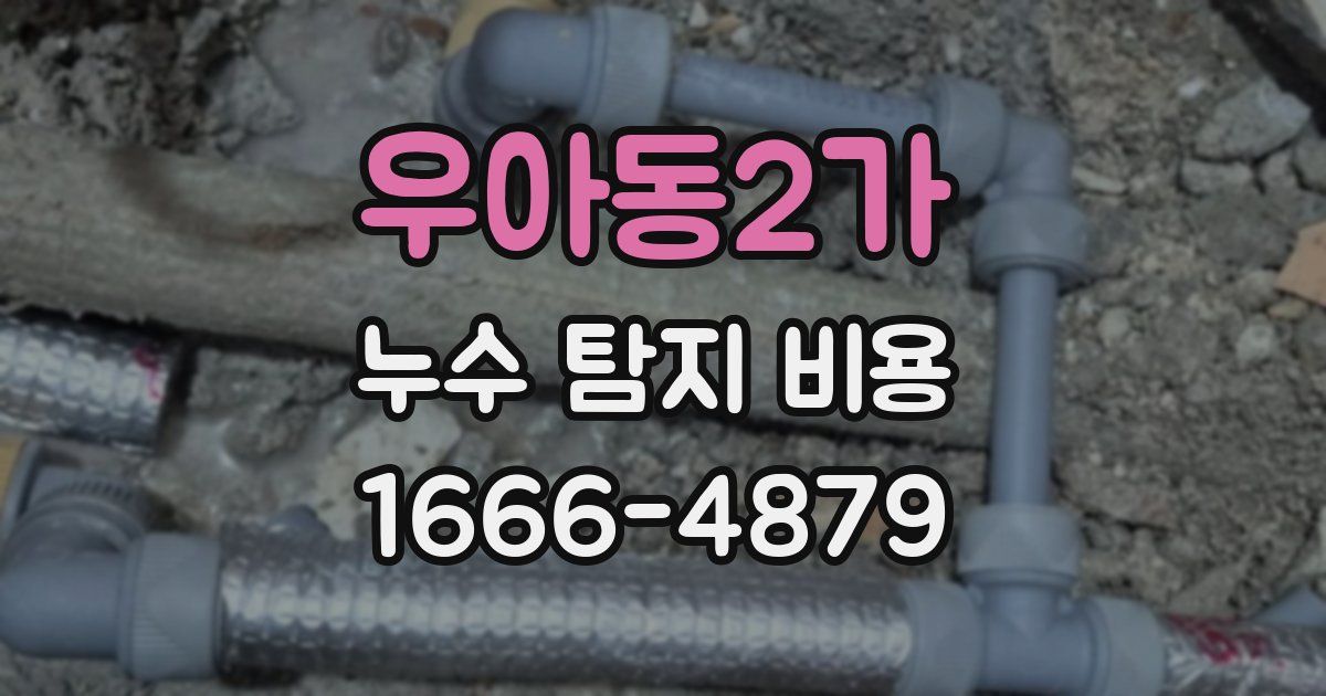 우아동2가 누수 탐지 비용