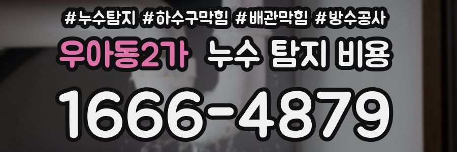 우아동2가 누수 탐지 비용