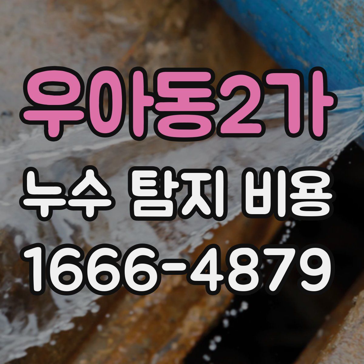 우아동2가 누수 탐지 비용