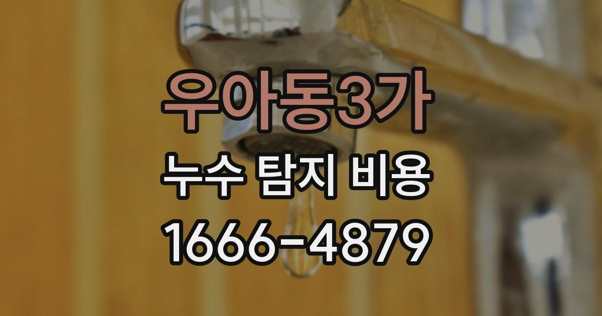 우아동3가 누수 탐지 비용