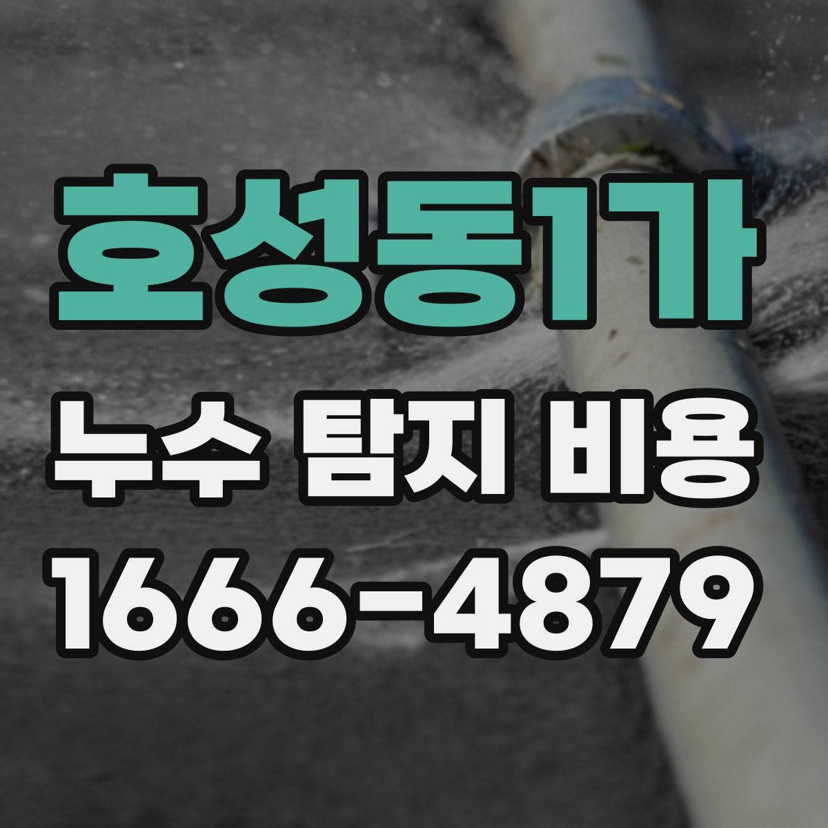 호성동1가 누수 탐지 비용
