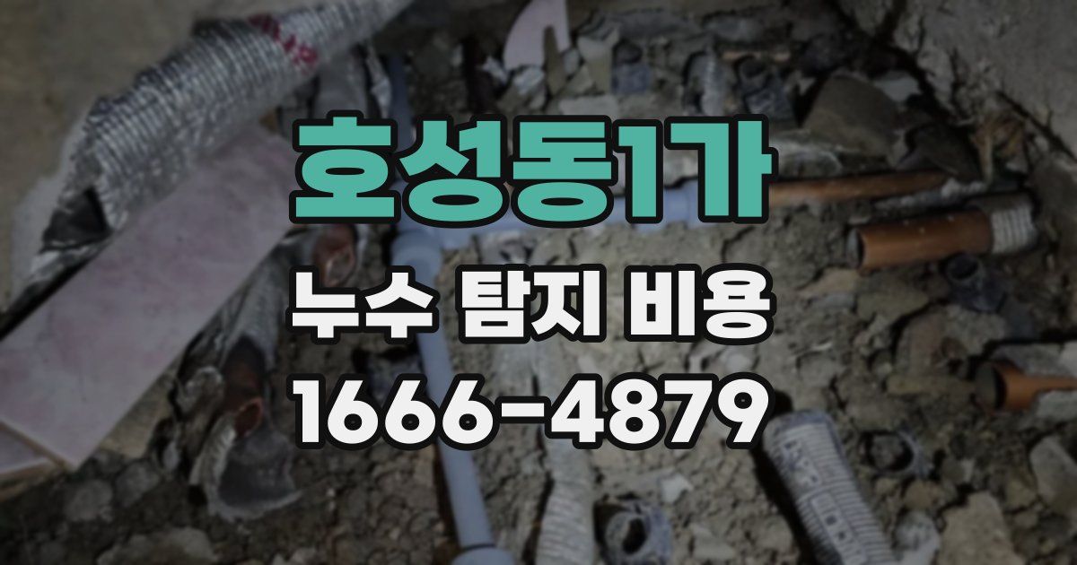호성동1가 누수 탐지 비용