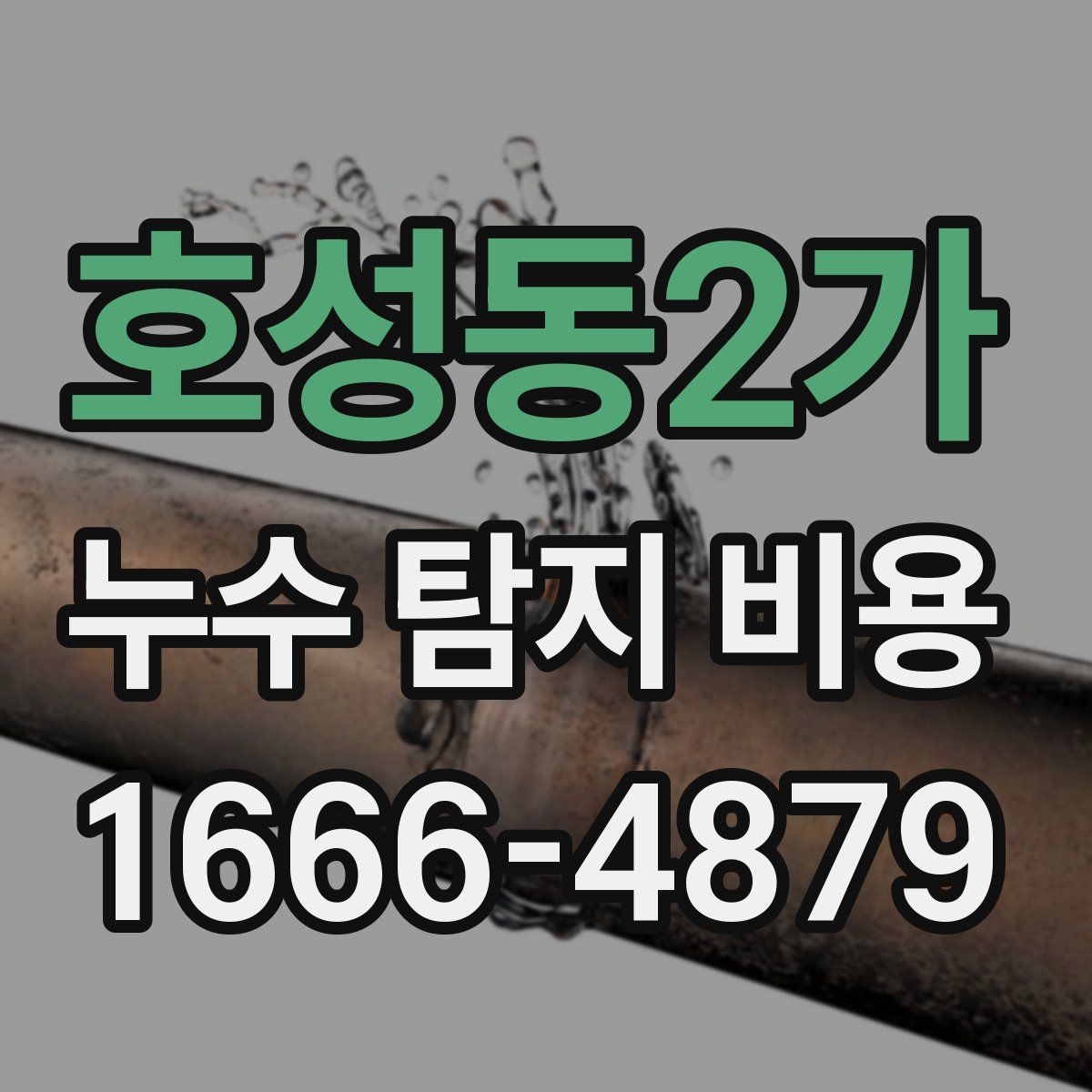 호성동2가 누수 탐지 비용
