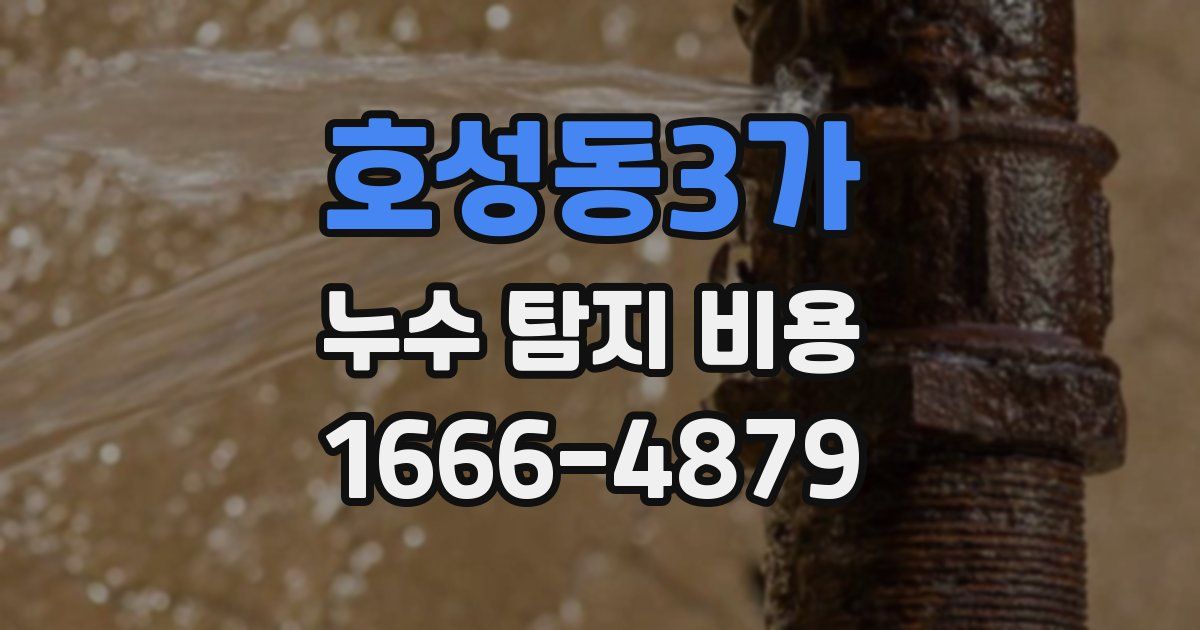 호성동3가 누수 탐지 비용