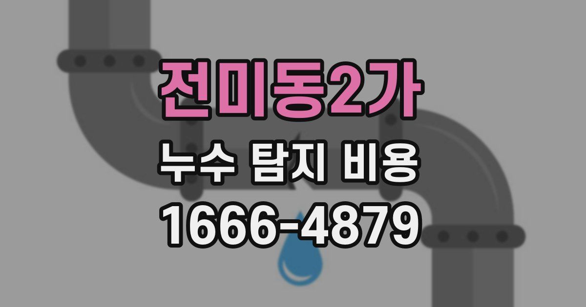 전미동2가 누수 탐지 비용