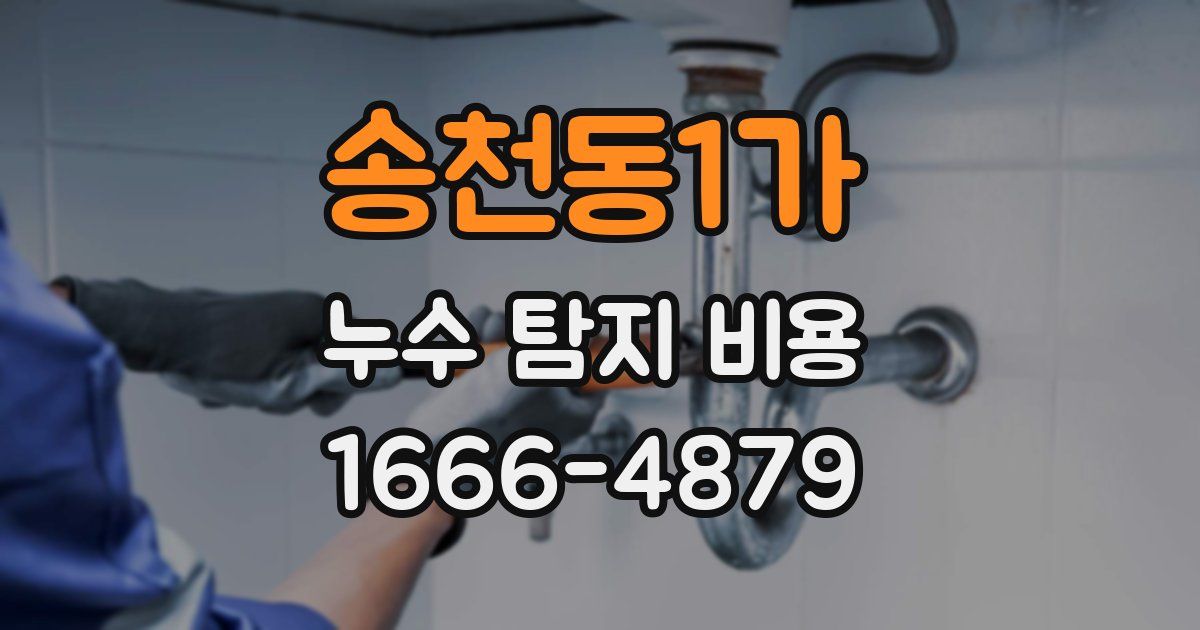 송천동1가 누수 탐지 비용
