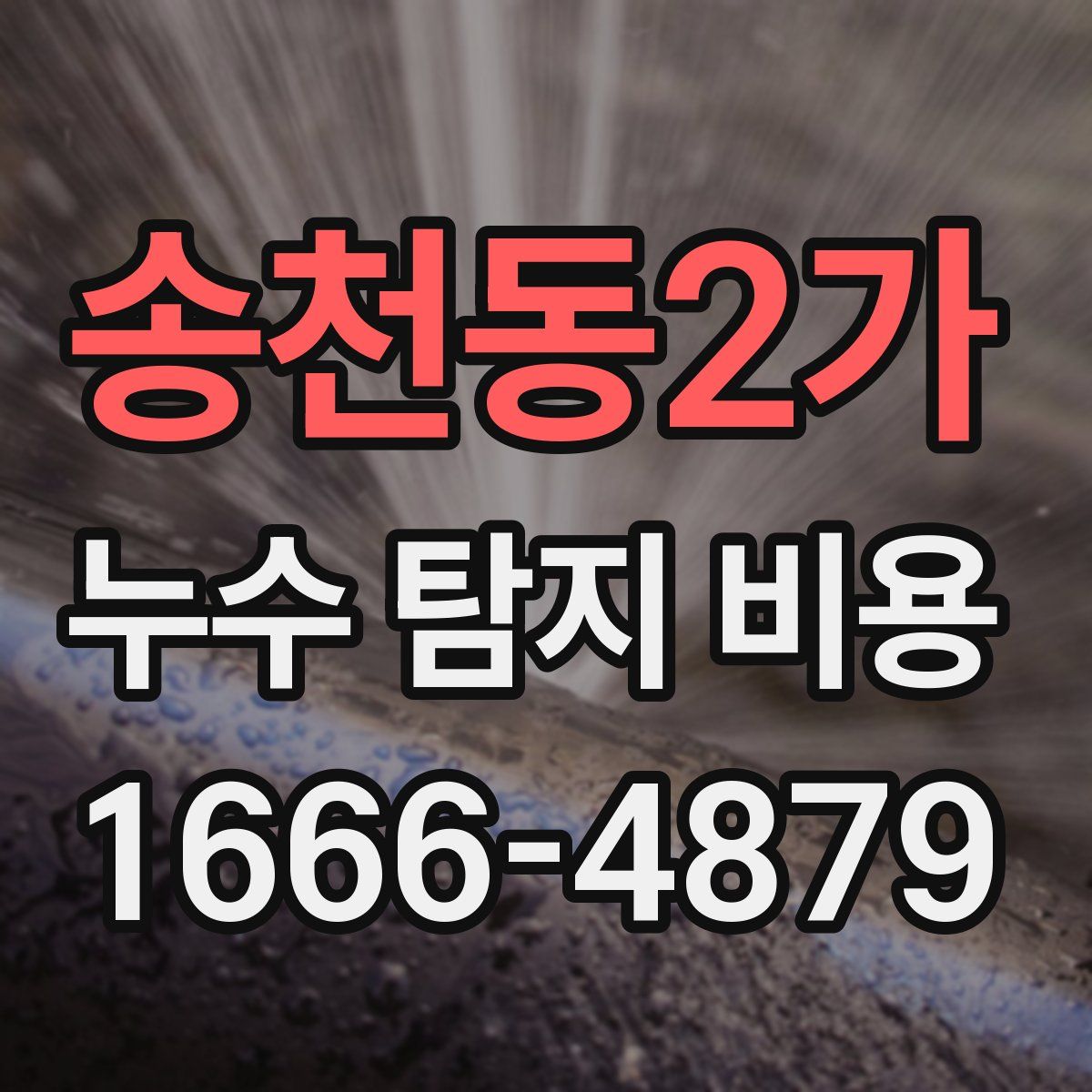 송천동2가 누수 탐지 비용