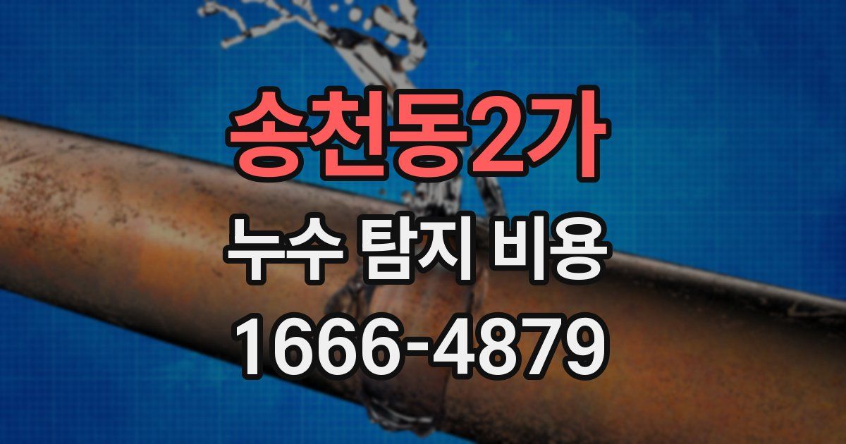 송천동2가 누수 탐지 비용