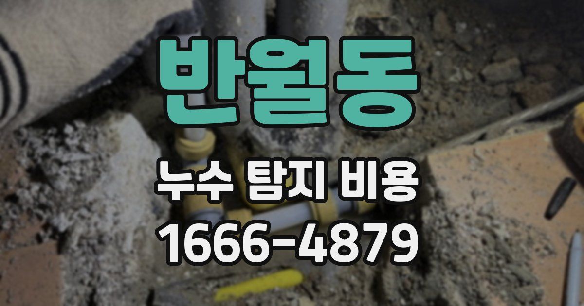 반월동 누수 탐지 비용