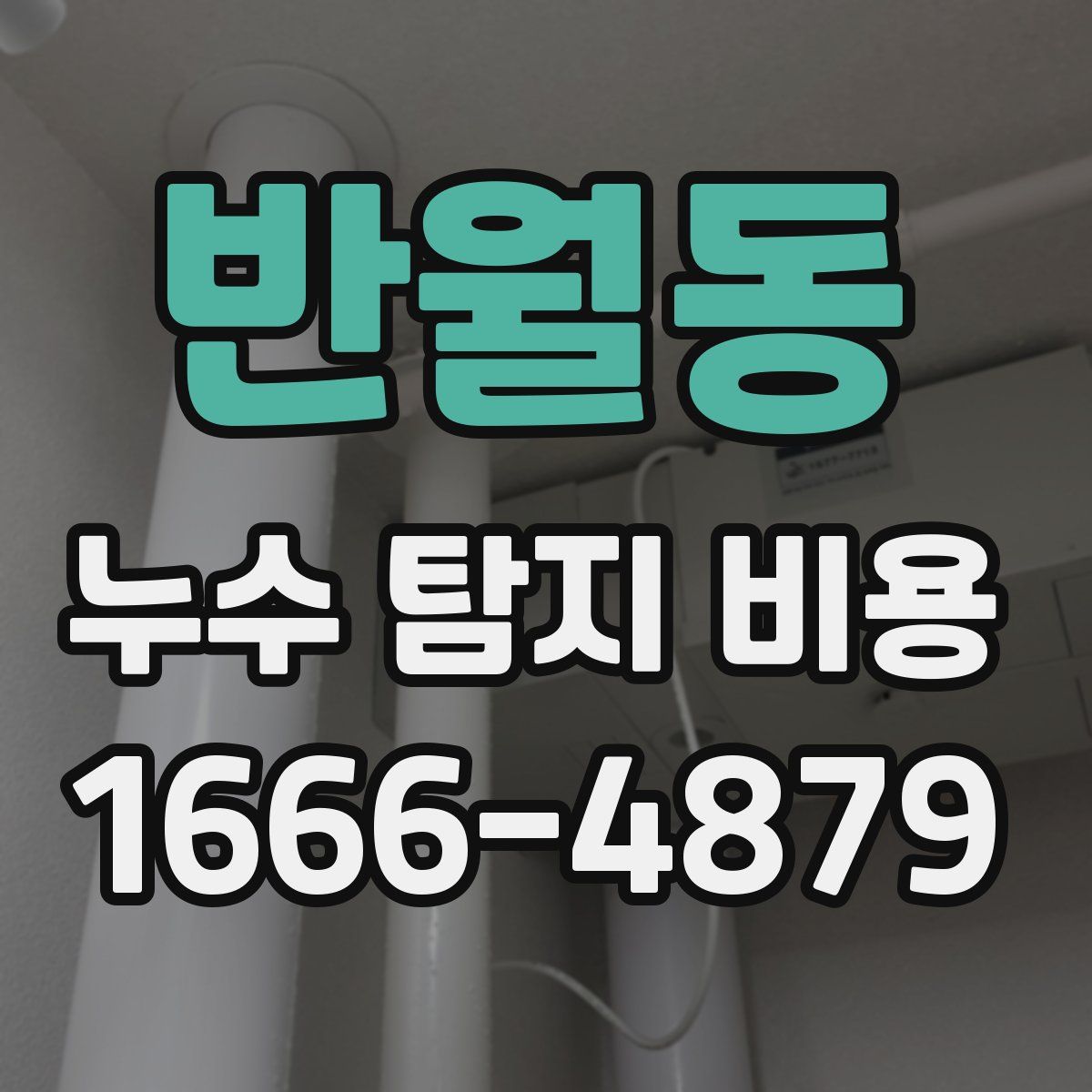 반월동 누수 탐지 비용