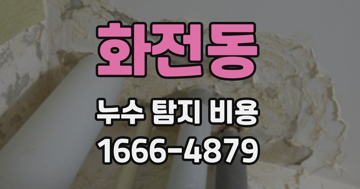 화전동 누수 탐지 비용