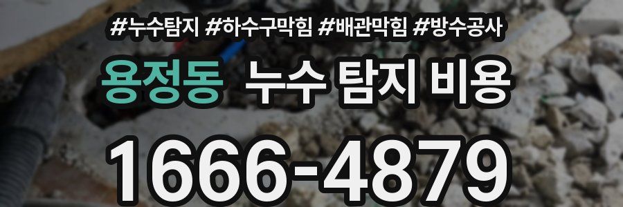 용정동 누수 탐지 비용