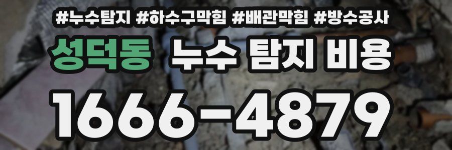 성덕동 누수 탐지 비용