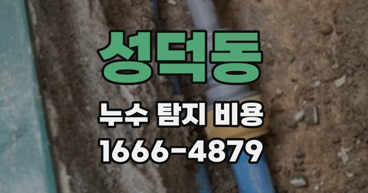 성덕동 누수 탐지 비용