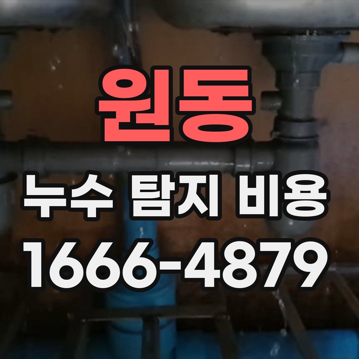 원동 누수 탐지 비용