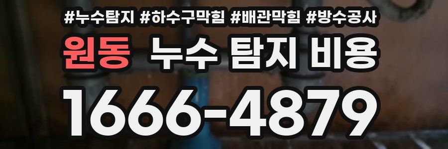 원동 누수 탐지 비용
