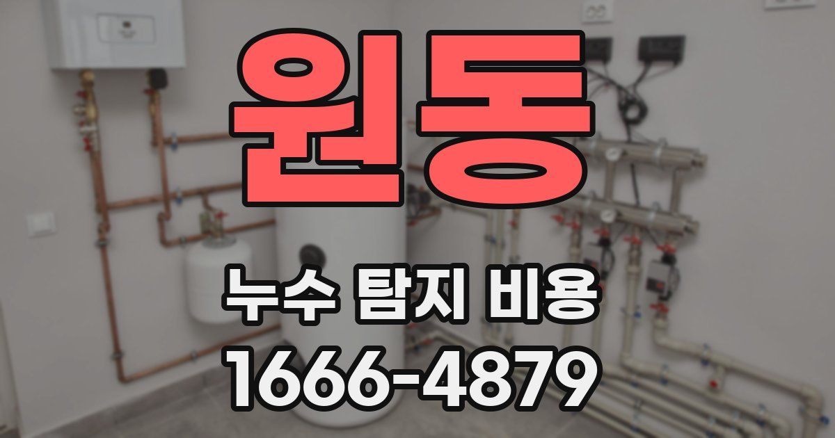 원동 누수 탐지 비용