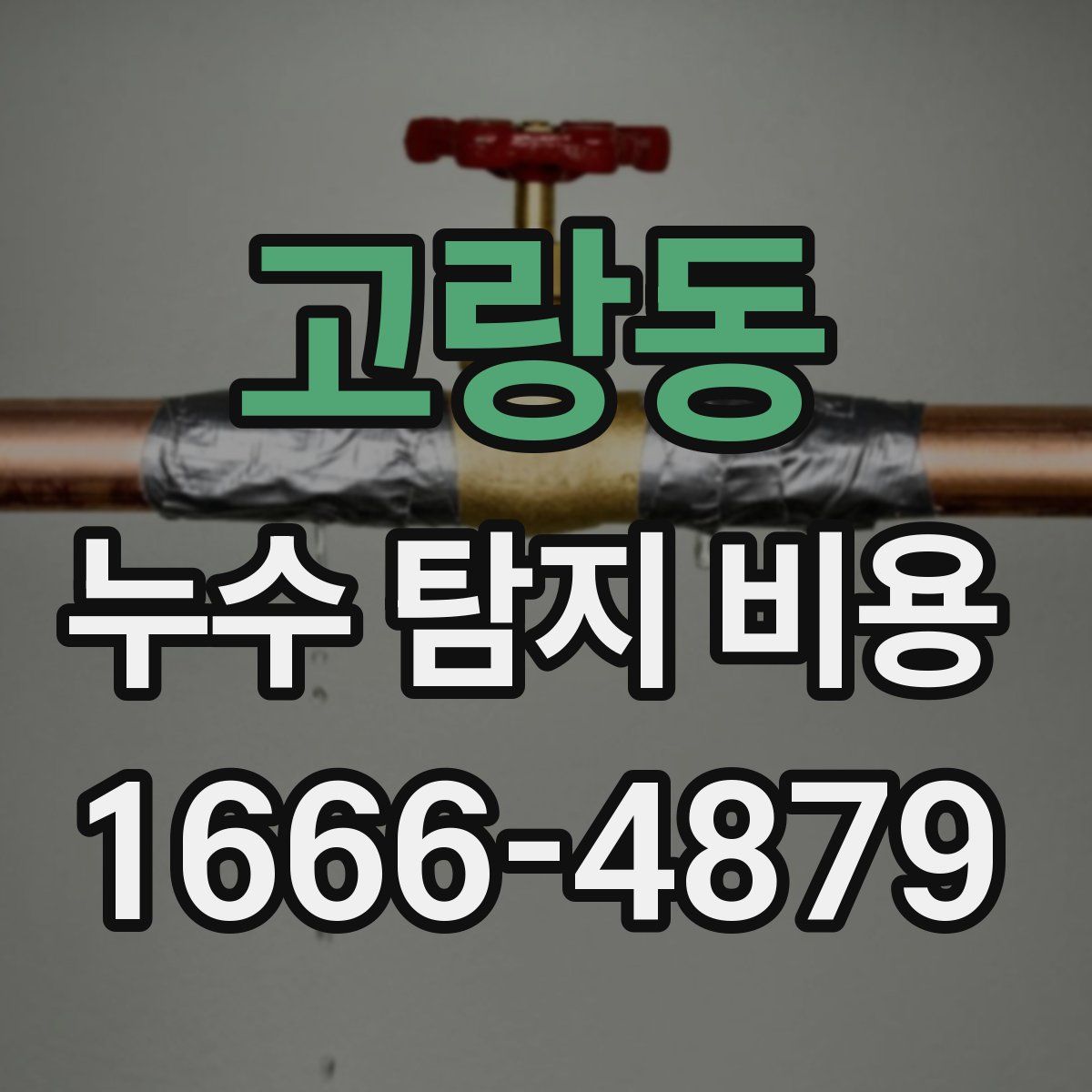 고랑동 누수 탐지 비용