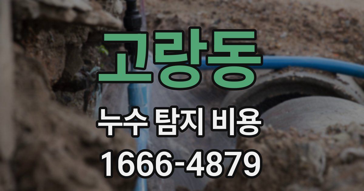 고랑동 누수 탐지 비용