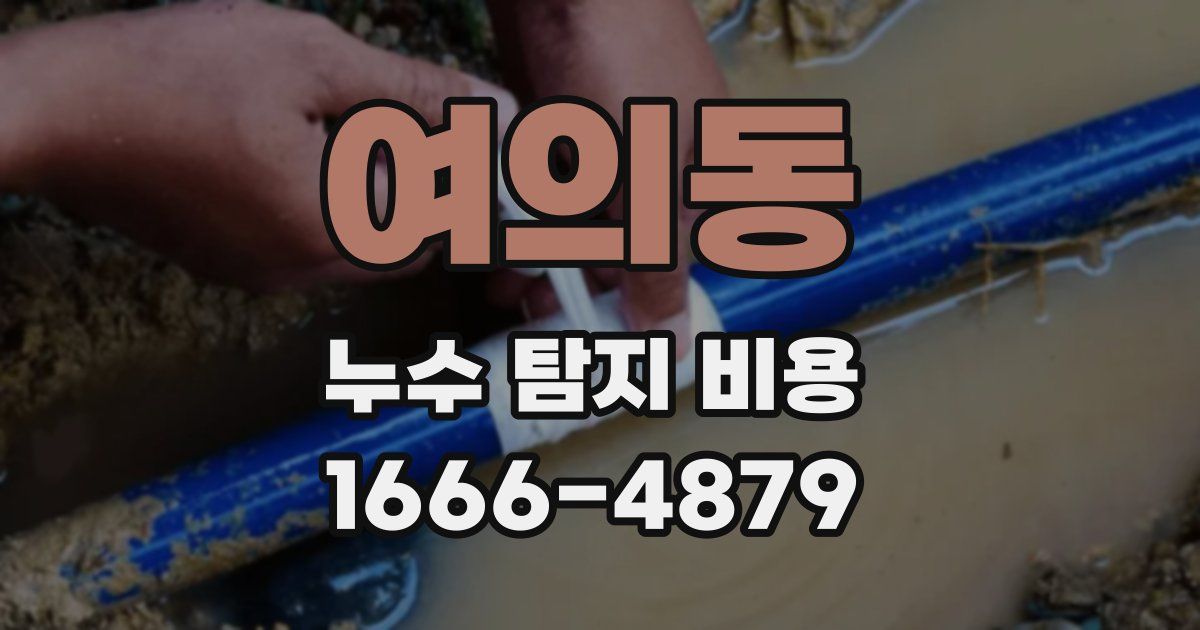 여의동 누수 탐지 비용