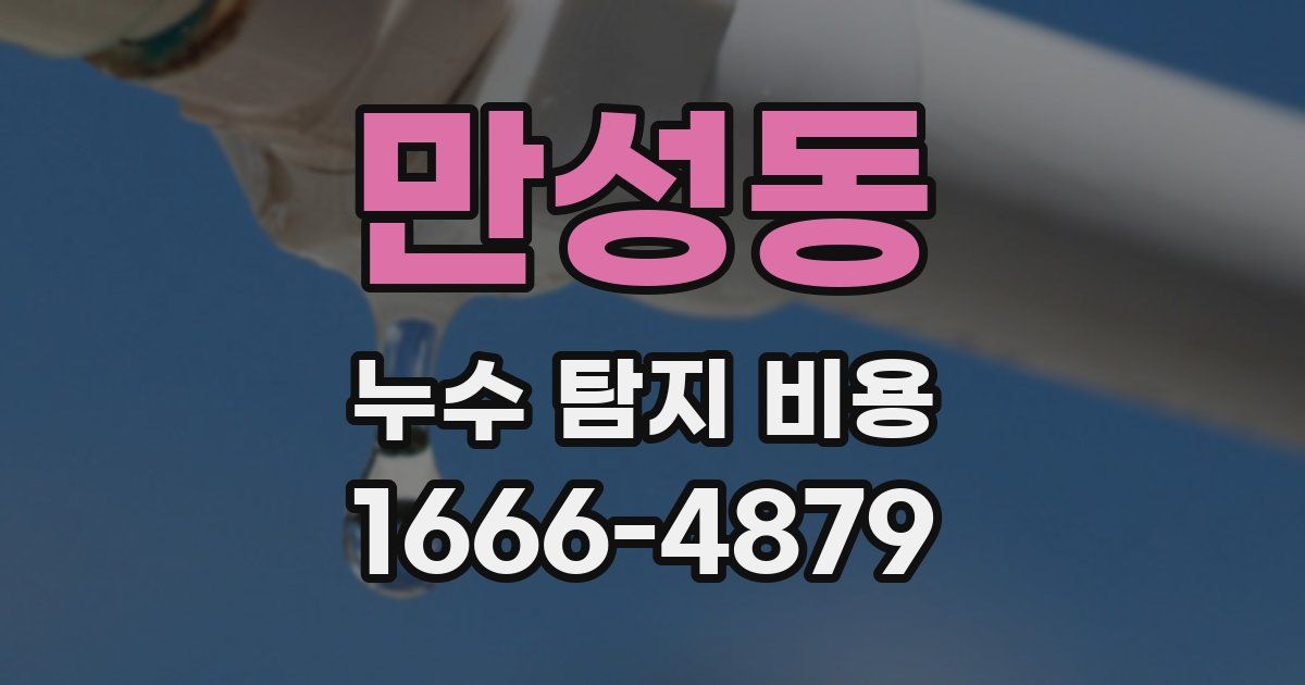 만성동 누수 탐지 비용