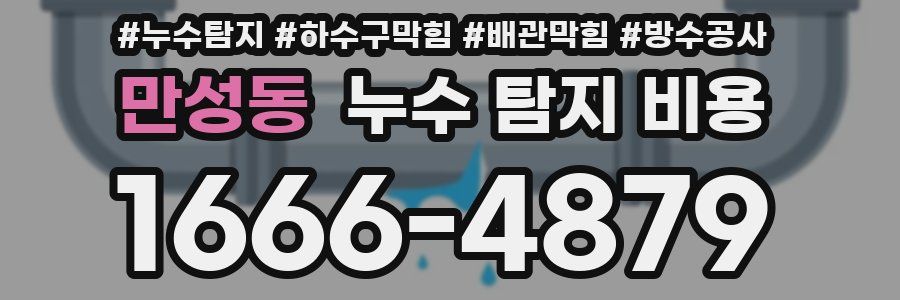 만성동 누수 탐지 비용