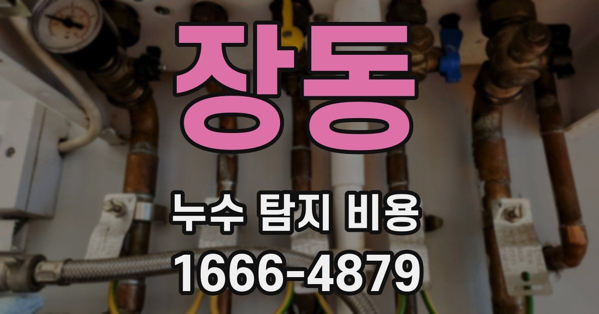 장동 누수 탐지 비용