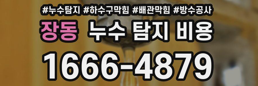 장동 누수 탐지 비용