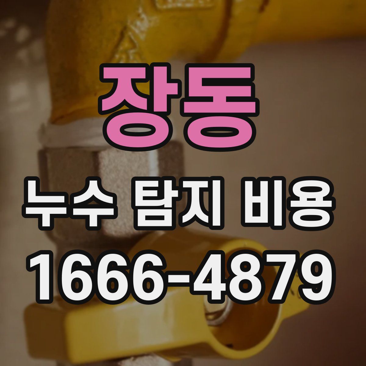 장동 누수 탐지 비용