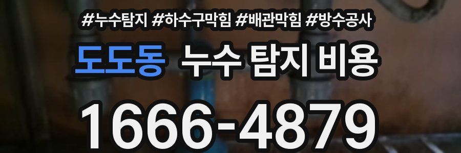 도도동 누수 탐지 비용