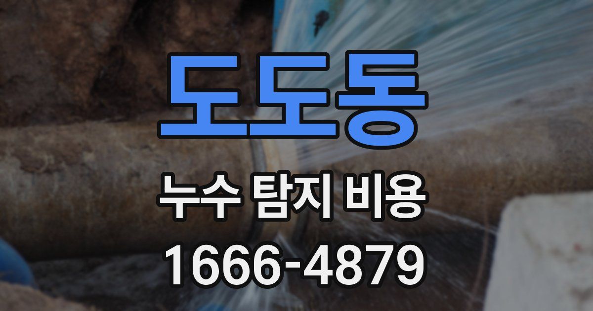 도도동 누수 탐지 비용