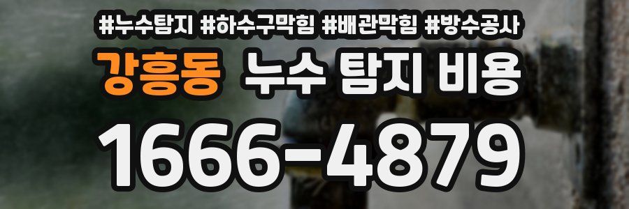 강흥동 누수 탐지 비용
